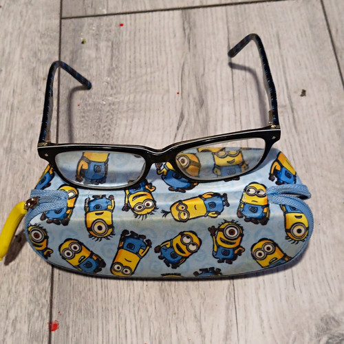 Minions hard zip - minions,